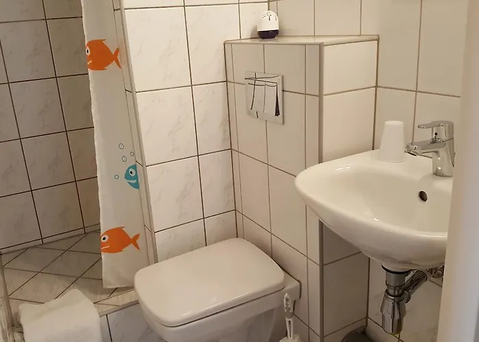 Проживание в семье Goscinne 